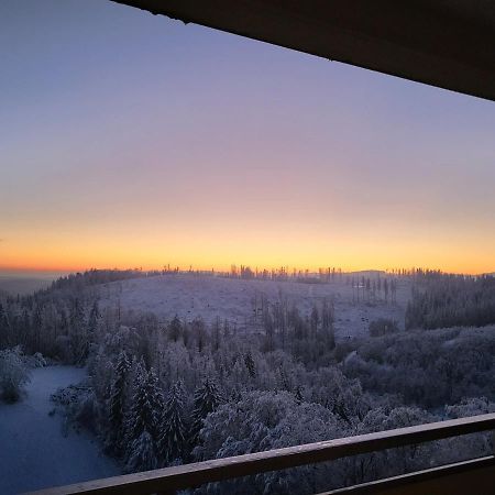 Appartement Zur Bergoase Mi Schwimmbad Hohegeiß Екстериор снимка