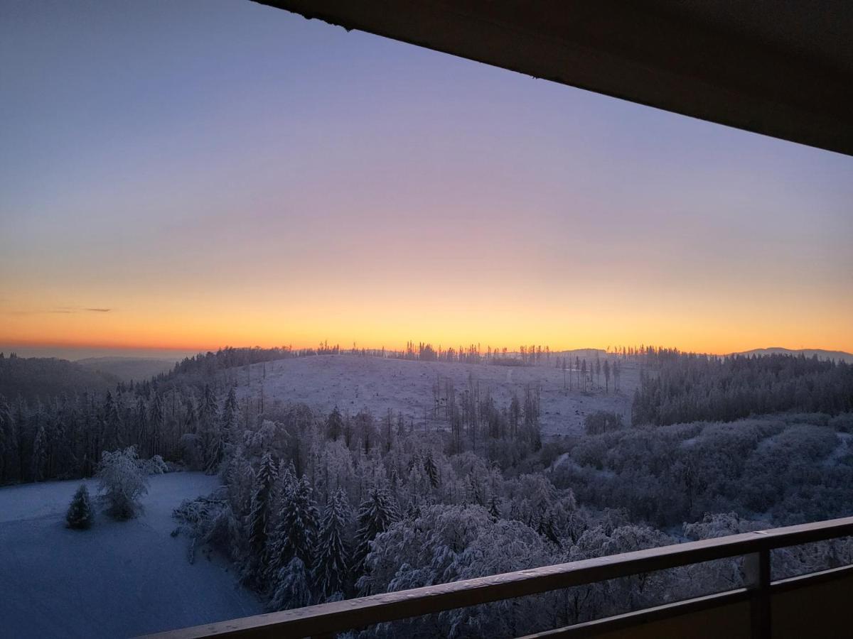 Appartement Zur Bergoase Mi Schwimmbad Hohegeiß Екстериор снимка